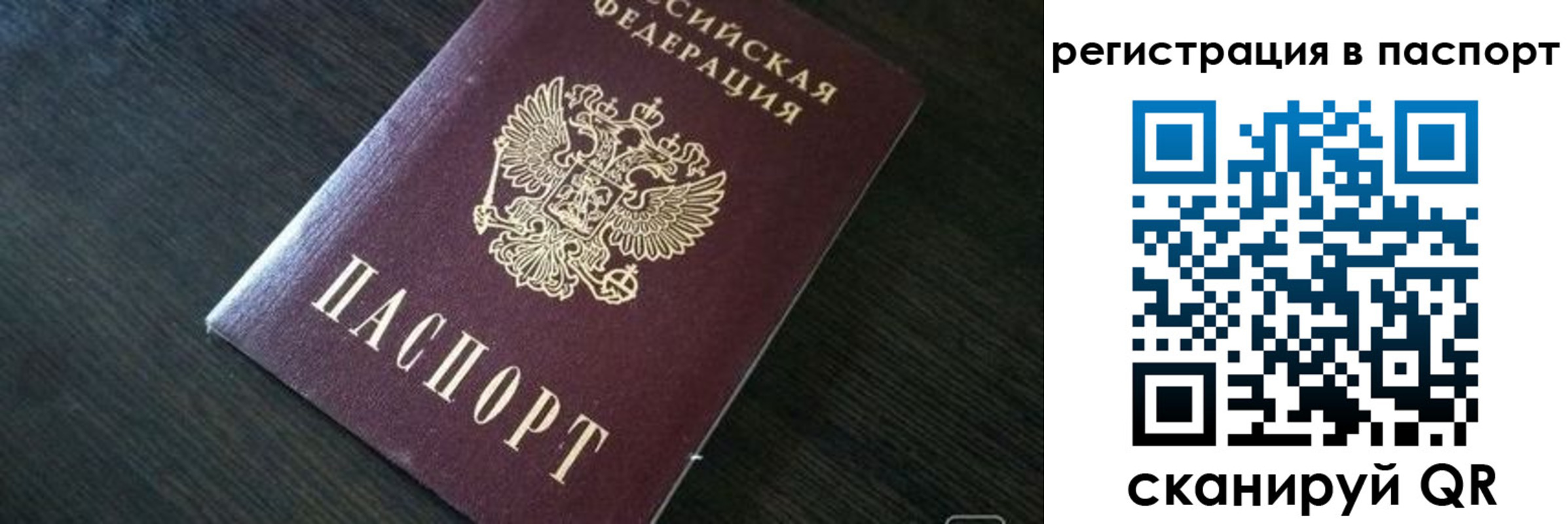 прописка в квартире в Курчатове